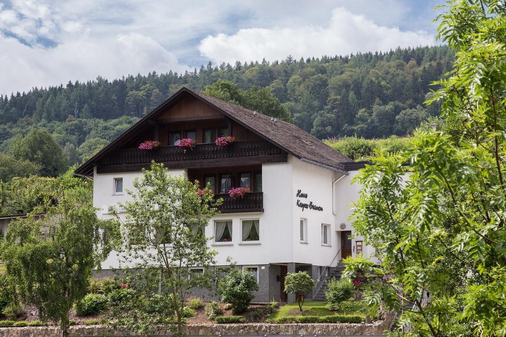 Haus Kesper-Brunen Hotel Willingen  Esterno foto
