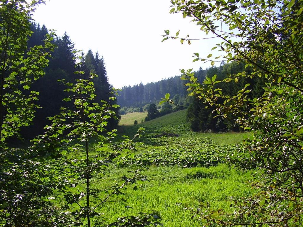 Haus Kesper-Brunen Hotel Willingen  Esterno foto